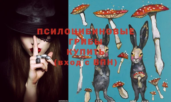 эйфоретик Алексеевка